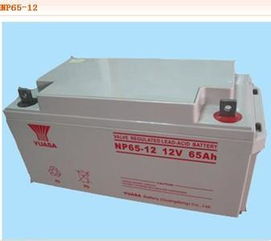 威海湯淺電池代理商NP1 6現(xiàn)貨價格,威海湯淺電池代理商NP1 6現(xiàn)貨價格生產(chǎn)廠家,威海湯淺電池代理商NP1 6現(xiàn)貨價格價格