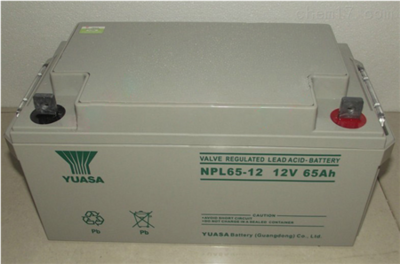 聯(lián)系電話18902067569 嘉峪關湯淺蓄電池NP65-12點擊報價_電子電工儀器_電源設備_電池_產(chǎn)品庫_中國化工儀器網(wǎng)